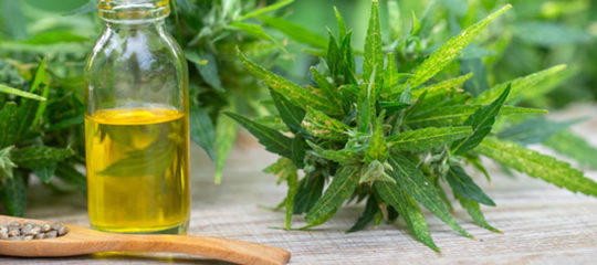 Produits à base de CBD